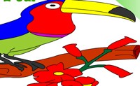 Color A Bird