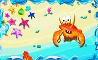 Crab Fight